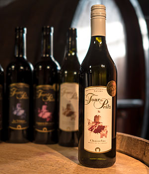 Domaine de La Doges vin de la commune de La Tour-de-Peilz