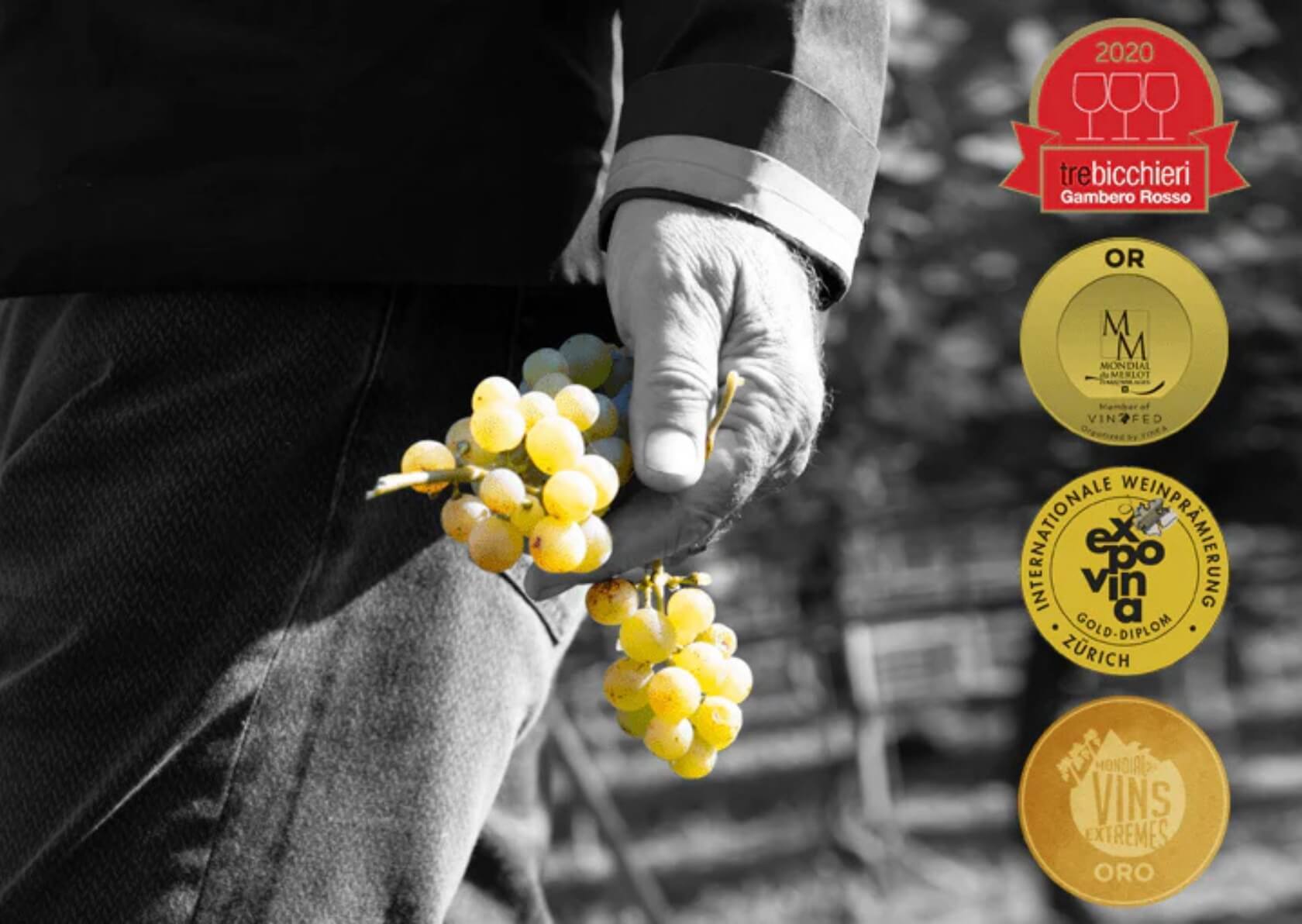 Delea Vini - Vigneron d'honneur 2025