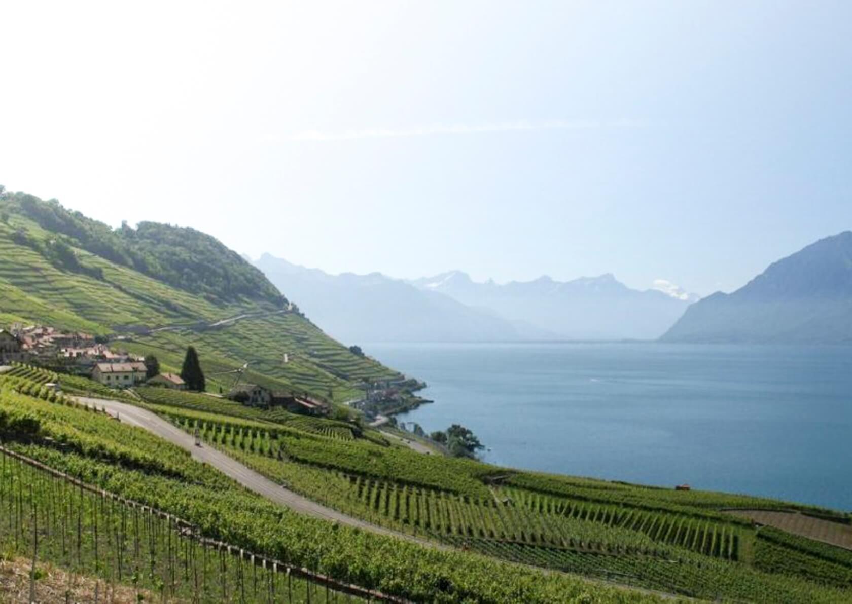 Domaine Fauquex